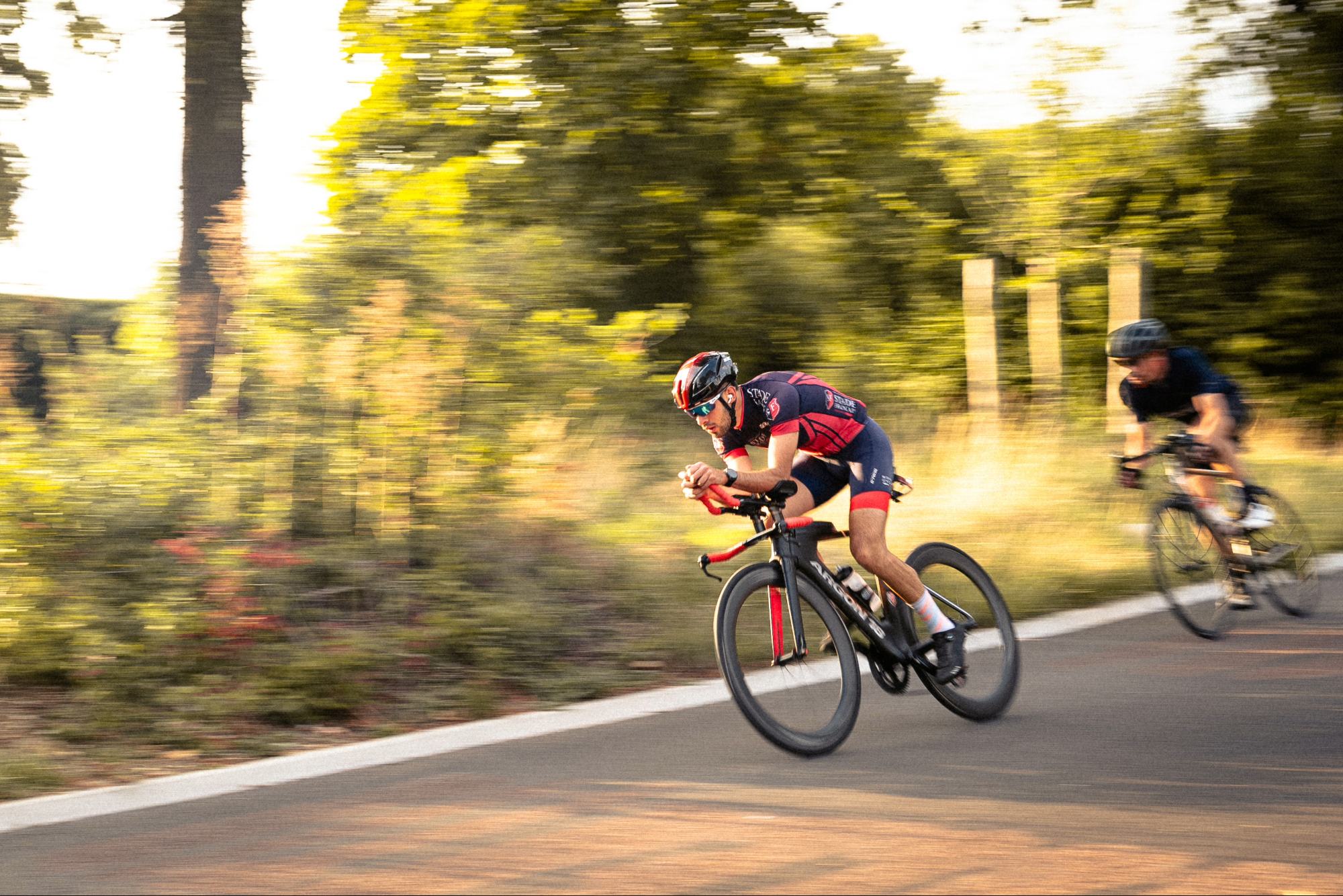 Photo {{ displayPhotos[2].id }} Image